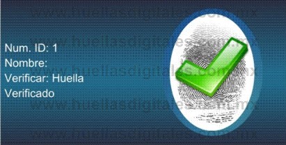 Verificado