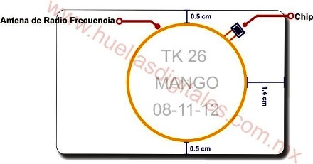 Tarjeta RFID