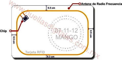 Tarjeta RFID